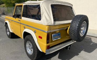 Unknown-Bronco-1973-Yellow-Tan-Houndstooth-9