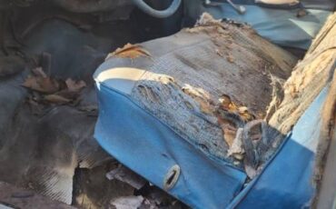 Unknown-Brookwood-1958-Blue-1