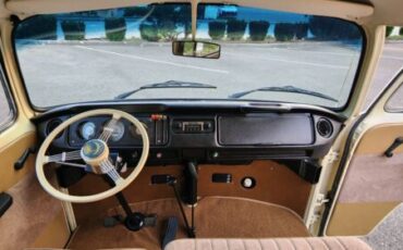 Unknown-Bus-1969-Tan-Brown-7