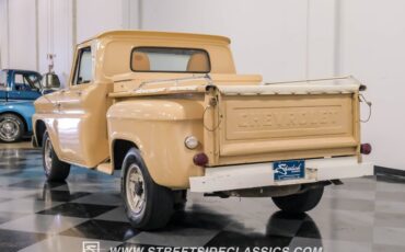 Unknown-C10-1966-Tan-Tan-10