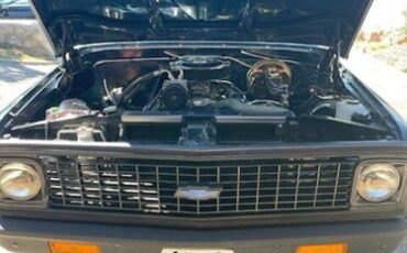 Unknown-C10-1971-Custom-BlackWhite-Houndsto-11