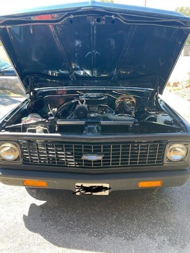 Unknown-C10-1971-Custom-BlackWhite-Houndsto-11