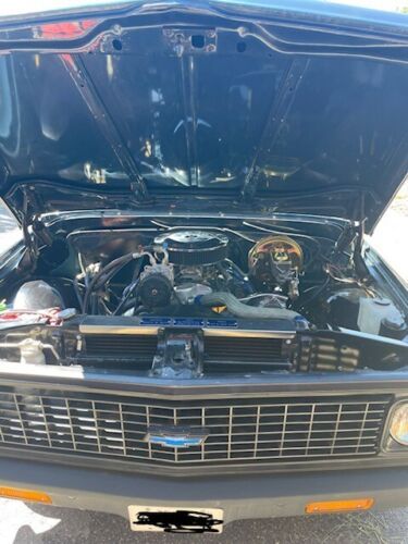 Unknown-C10-1971-Custom-BlackWhite-Houndsto-13