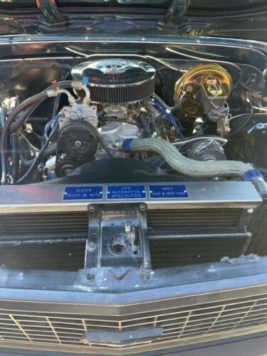 Unknown-C10-1971-Custom-BlackWhite-Houndsto-14