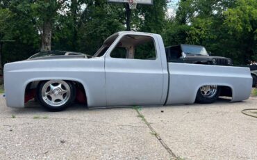 Unknown-C10-shortbed-1983-grey-1
