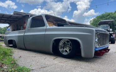 Unknown-C10-shortbed-1983-grey-10