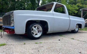 Unknown-C10-shortbed-1983-grey-11