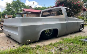 Unknown-C10-shortbed-1983-grey-12