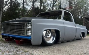 Unknown-C10-shortbed-1983-grey-21