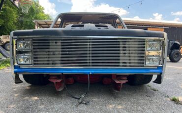 Unknown-C10-shortbed-1983-grey-9