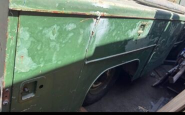 Unknown-C20-1972-Green-2