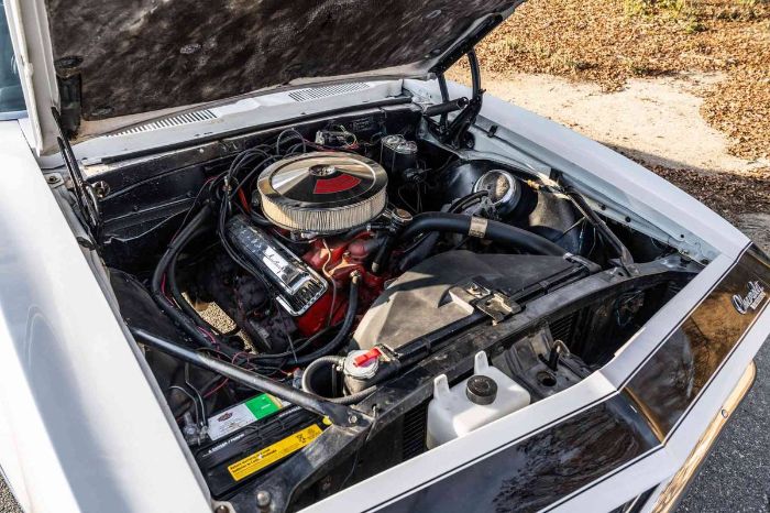 Unknown-Camaro-1967-10
