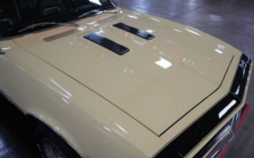 Unknown-Camaro-1967-Butternut-Yellow-Black-38