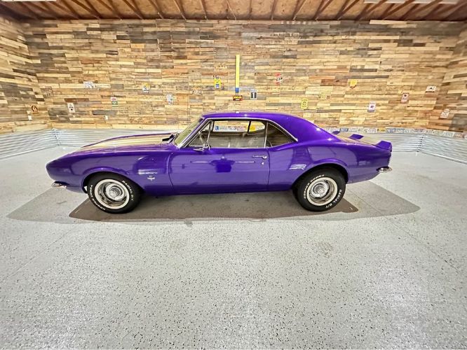 Unknown-Camaro-1967-Purple-Gold-11