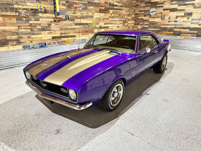 Unknown-Camaro-1967-Purple-Gold-12