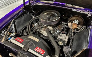 Unknown-Camaro-1967-Purple-Gold-13