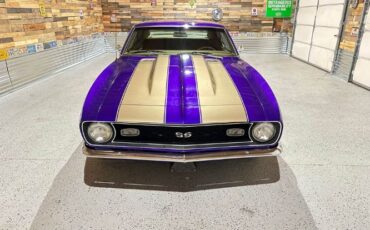 Unknown-Camaro-1967-Purple-Gold-15