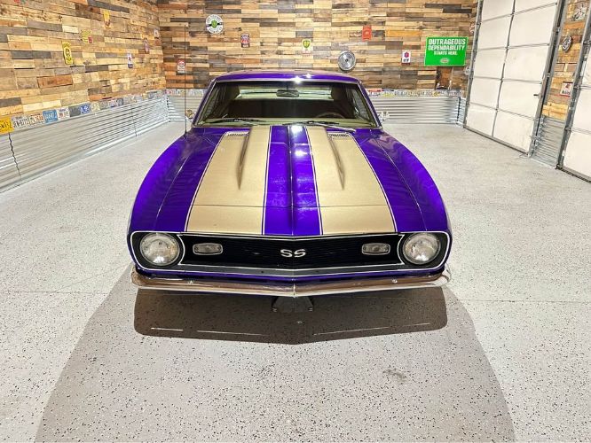 Unknown-Camaro-1967-Purple-Gold-15