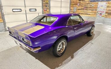 Unknown-Camaro-1967-Purple-Gold-2
