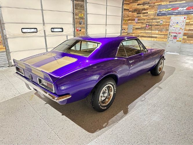 Unknown-Camaro-1967-Purple-Gold-2
