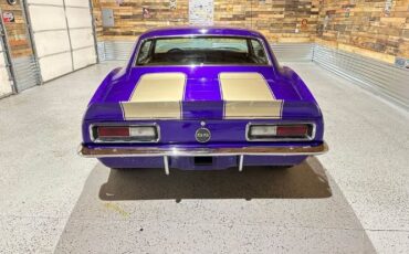 Unknown-Camaro-1967-Purple-Gold-3