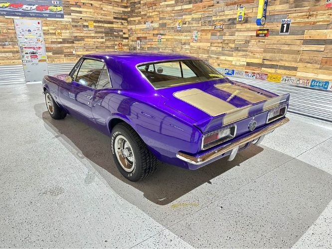 Unknown-Camaro-1967-Purple-Gold-4