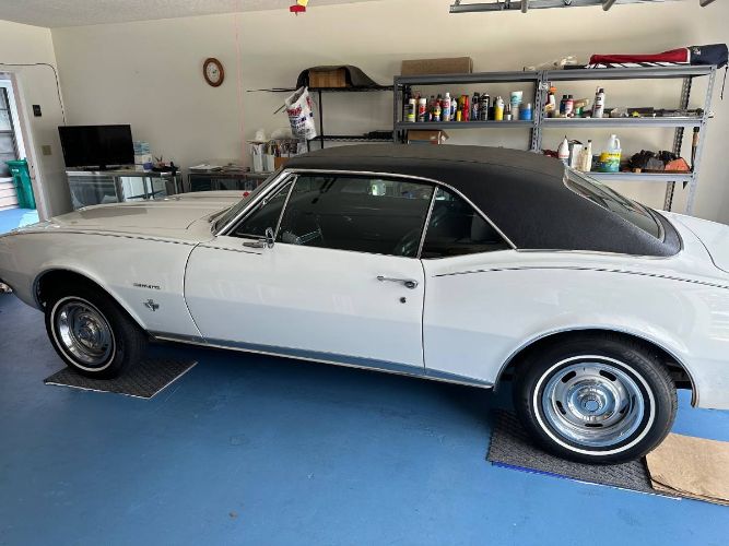Unknown-Camaro-1967-White-6