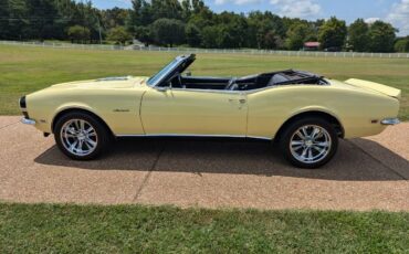 Unknown-Camaro-1968-Butter-Yellow-Black-Black-Vinyl-17