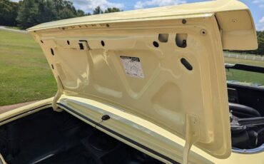 Unknown-Camaro-1968-Butter-Yellow-Black-Black-Vinyl-36