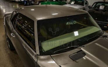 Unknown-Camaro-1968-Gray-Tan-31