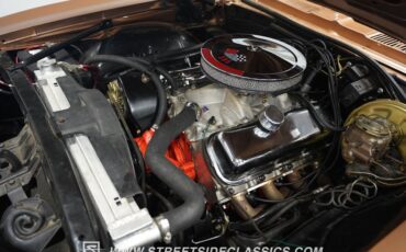 Unknown-Camaro-1969-Bronze-Black-ampamp-White-Ho-34