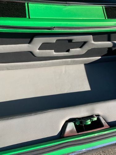 Unknown-Camaro-1969-Green-Black-Houndstooth-5