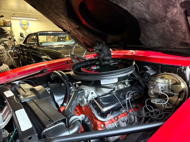 Unknown-Camaro-1969-Red-Black-3
