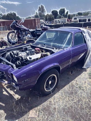 Unknown-Camaro-1970-Purple-18