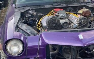 Unknown-Camaro-1970-Purple