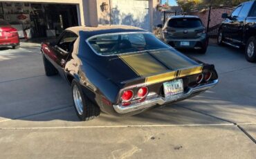 Unknown-Camaro-1971-Brown-2