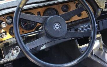 Unknown-Camaro-1971-Brown-Black-Vinyl-2