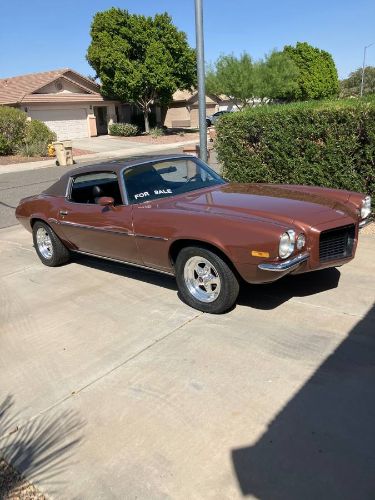 Unknown-Camaro-1971-Brown-Black-Vinyl-7