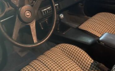 Unknown-Camaro-1974-4