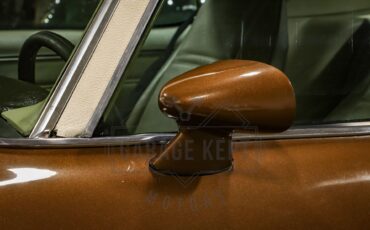 Unknown-Camaro-1974-Brown-Tan-11