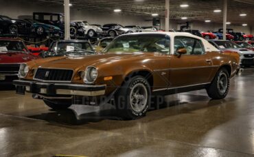 Unknown-Camaro-1974-Brown-Tan-13
