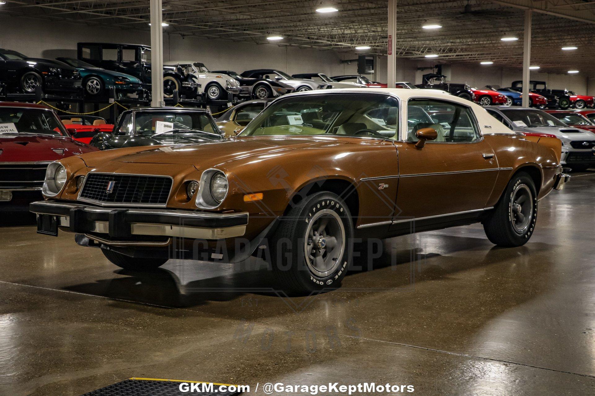 Unknown-Camaro-1974-Brown-Tan-13