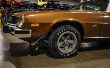 Unknown-Camaro-1974-Brown-Tan-14