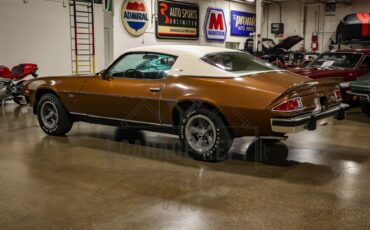 Unknown-Camaro-1974-Brown-Tan-15