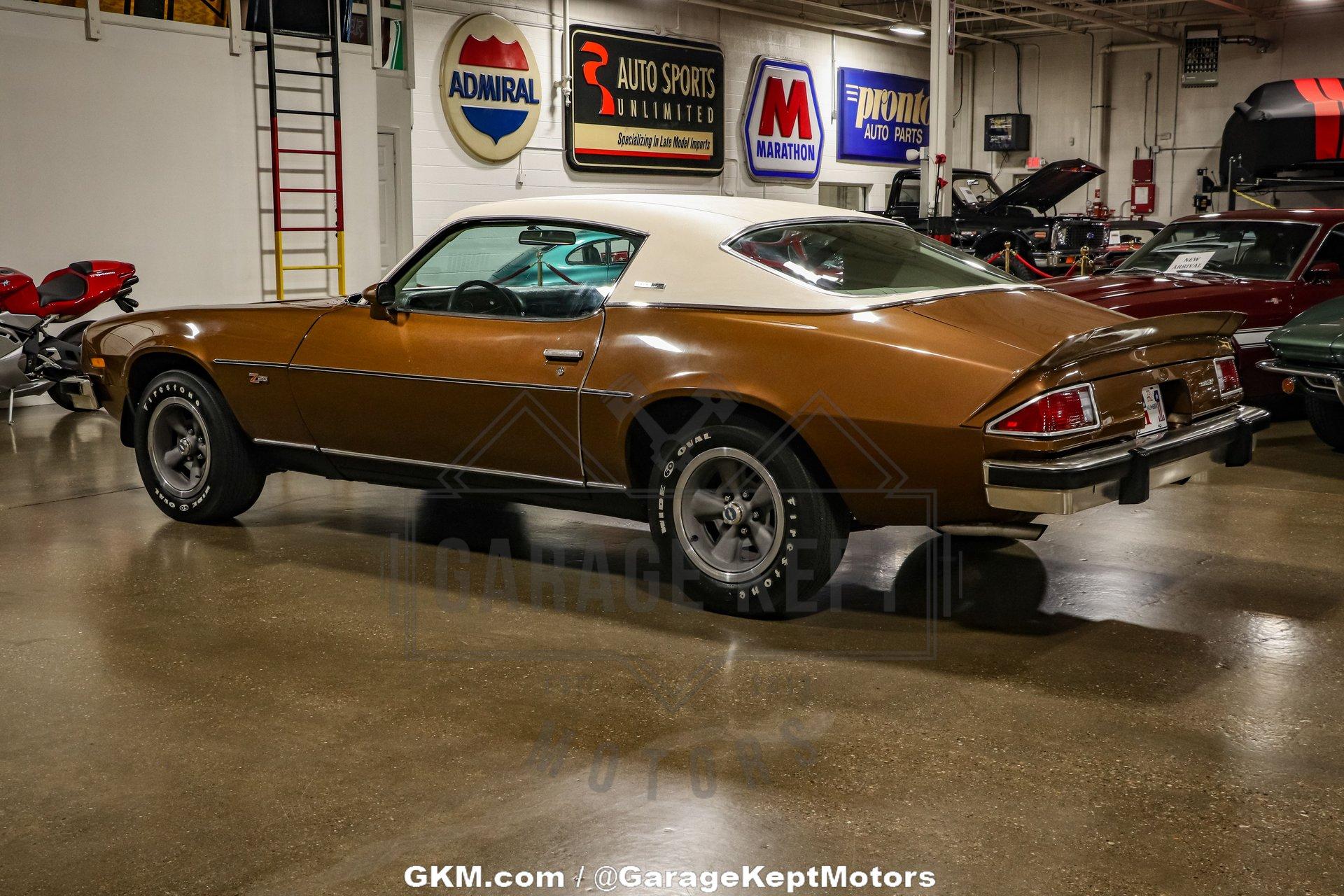 Unknown-Camaro-1974-Brown-Tan-15