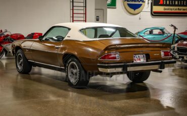 Unknown-Camaro-1974-Brown-Tan-16