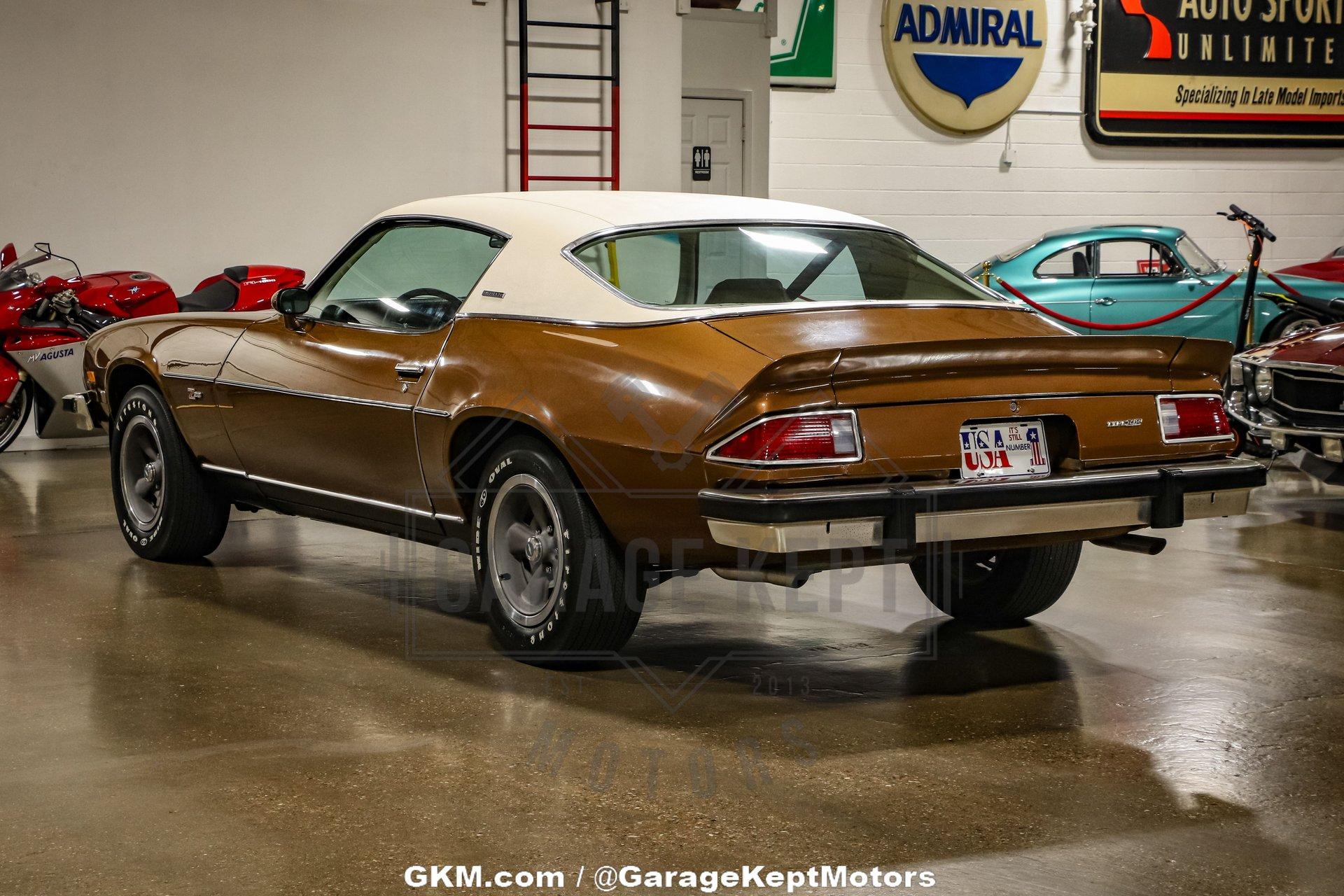 Unknown-Camaro-1974-Brown-Tan-16