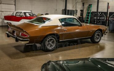 Unknown-Camaro-1974-Brown-Tan-18