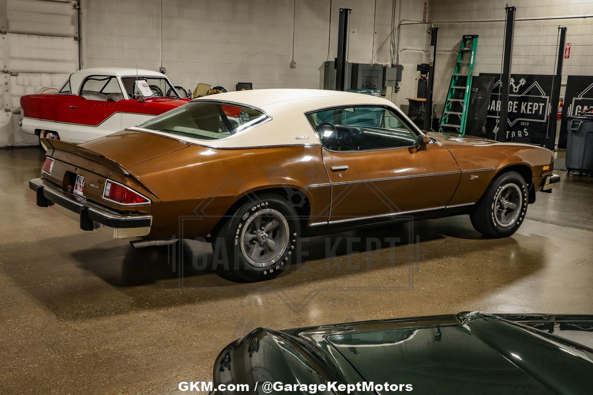 Unknown-Camaro-1974-Brown-Tan-18
