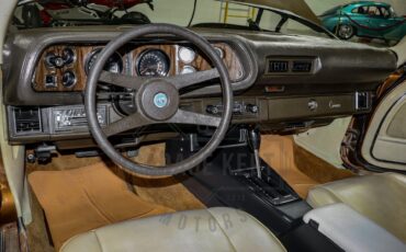 Unknown-Camaro-1974-Brown-Tan-2